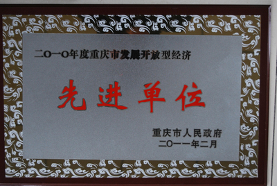 “先進(jìn)單位”榮譽(yù)稱號-2010年度